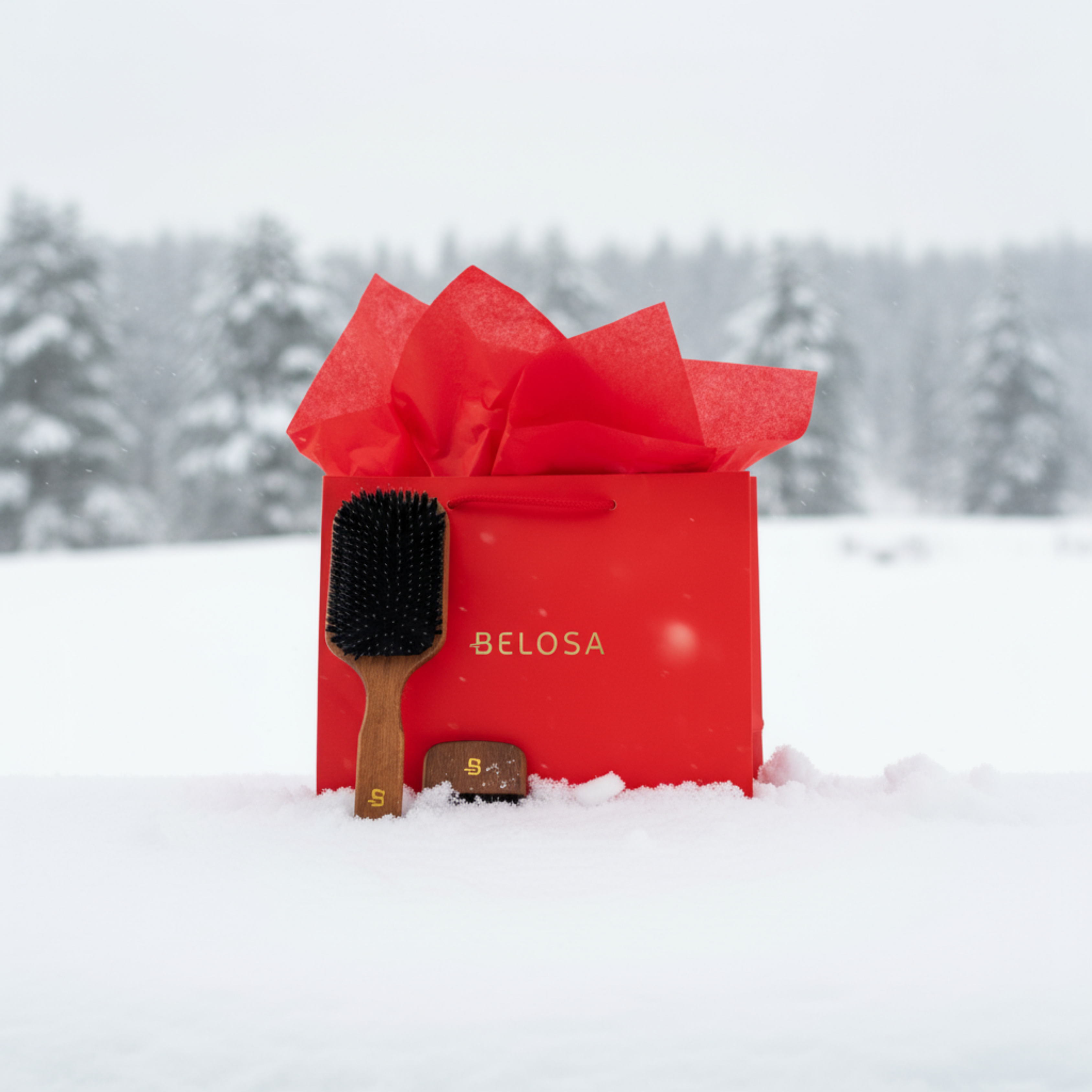 Kalėdinis Belosa šepečio ir valymo rinkinys🎁