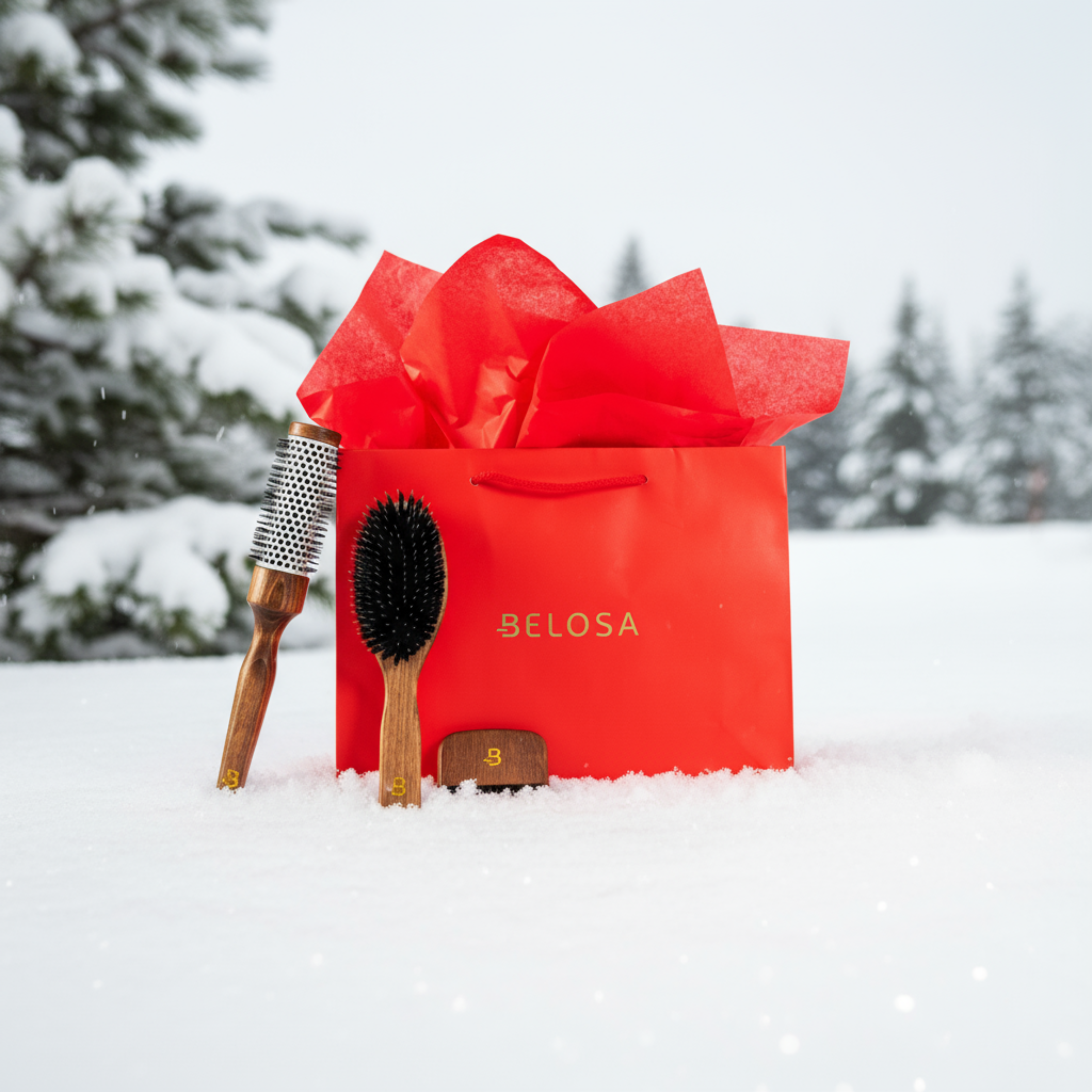 Kalėdinis Belosa šepečių rinkinys 🎁